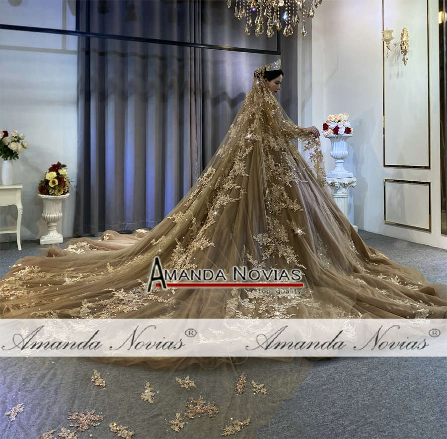 Customized Champagne Color Wedding Dress Full Beading With Lace Veil
