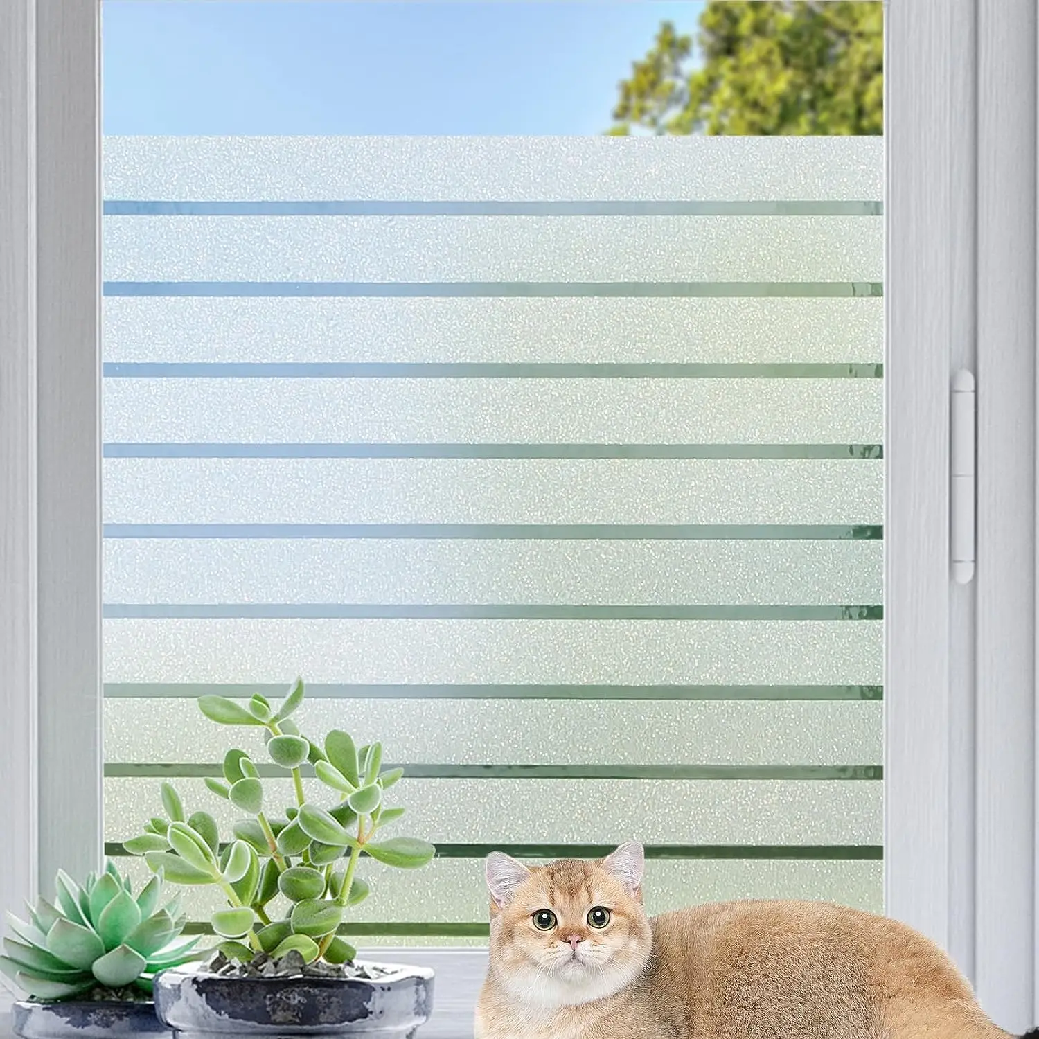 Film: Window Frosted Privacy Glass Film ddmysmile Heat Blocking, Blinds Decor Static-Cling Windows Cover Stickers For Kitchen Door Office Smile : Bloc