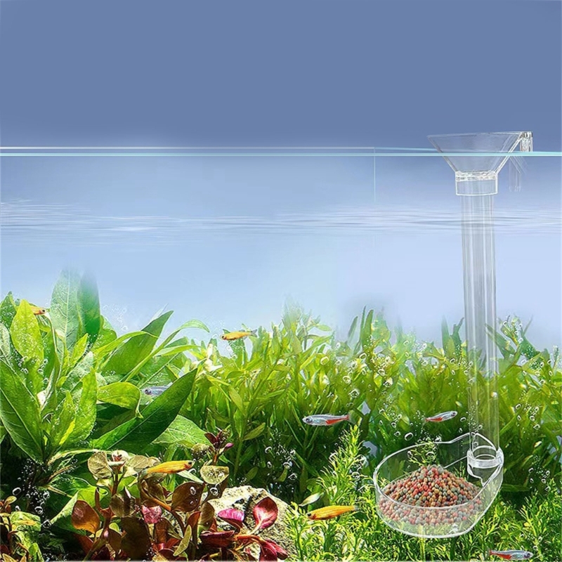 FishTank Feeding Tube Transparent Acrylic Preventing Scattering