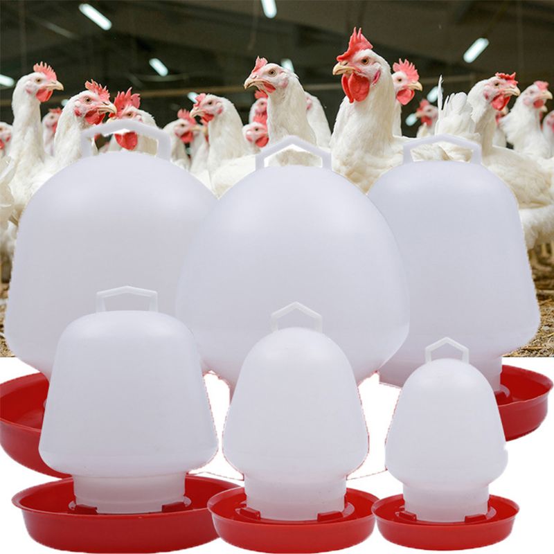 Round Bubble Chicken Drinking Fountain Device Hanging Cup Waterer Bowl Pet Poultry Water Drinker Household Pet Feeding Utensils