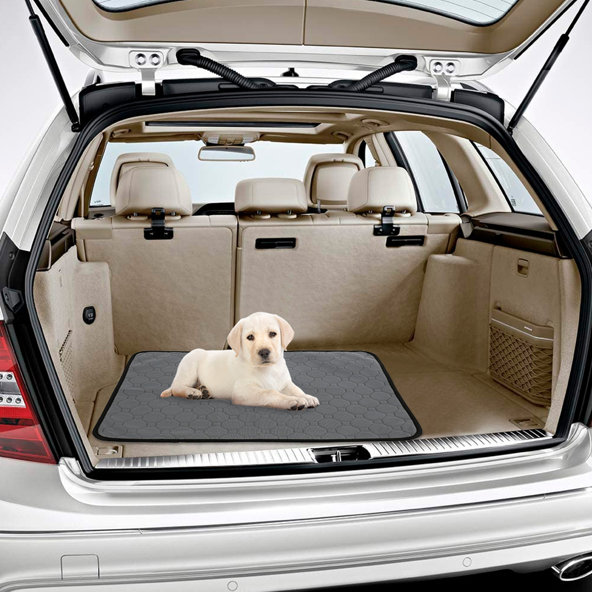 Pee Blanket Reusable Absorbent Diaper Washable Puppy Training Pad Pet Bed Urine Mat Moisture-Proof for Pets Dog Supplies