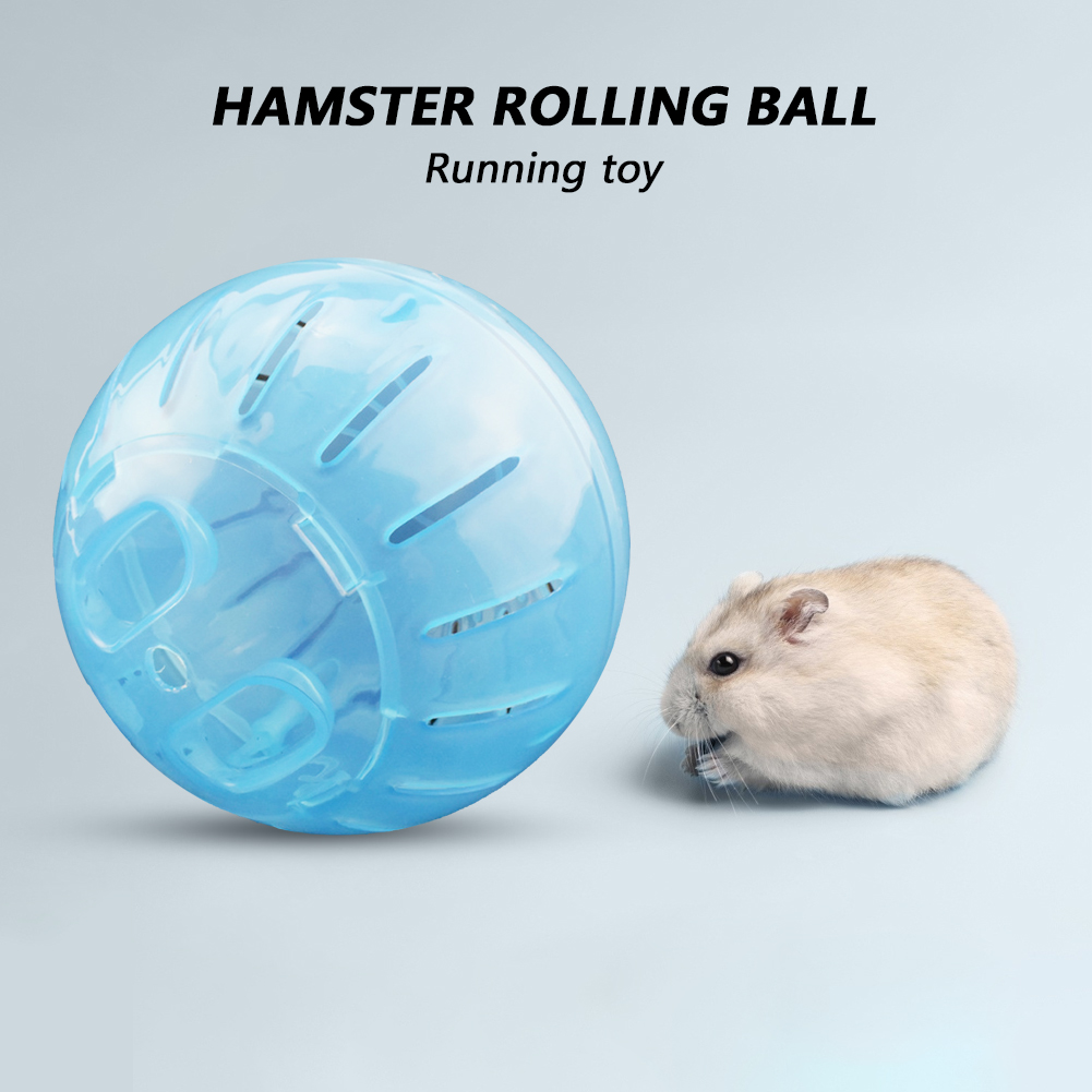 Solid Rodent Jogging Ball Gerbil Hamster Fitness Portable Rolling Ball Play Toys
