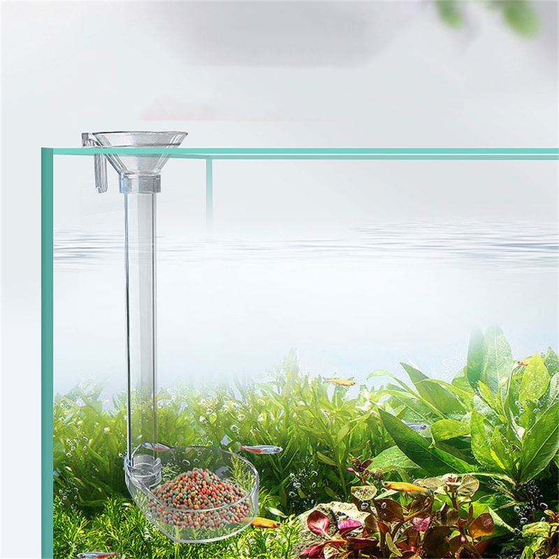 FishTank Feeding Tube Transparent Acrylic Preventing Scattering