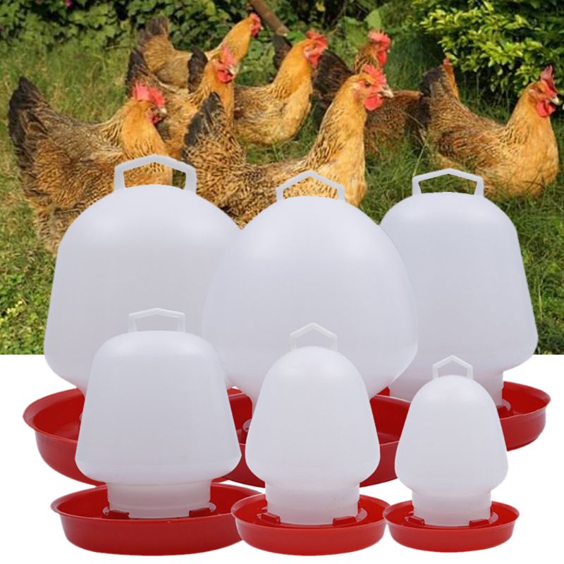 Round Bubble Chicken Drinking Fountain Device Hanging Cup Waterer Bowl Pet Poultry Water Drinker Household Pet Feeding Utensils