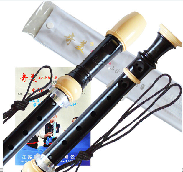 Hot Selling German 8 Holes Soprano Plastic Recorder C Key Clarinet 3 Color to Choose Flute for beginner Student Gift