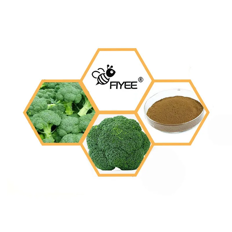 High Quality 100% new Broccoli 2025 Extract Powder,Vitamin K