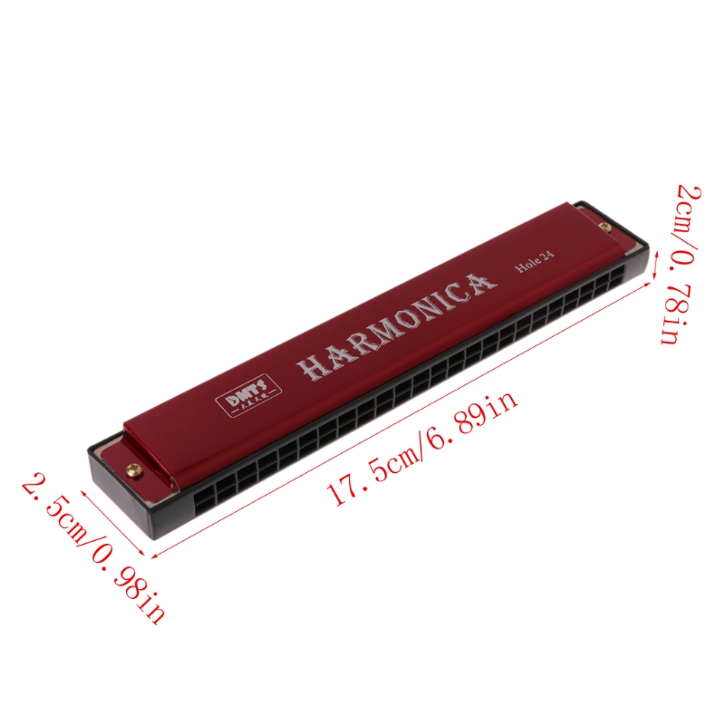 Professional 24 Hole Harmonica Mouth Metal Organ for Beginners