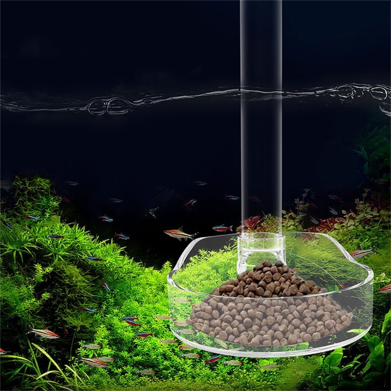 FishTank Feeding Tube Transparent Acrylic Preventing Scattering