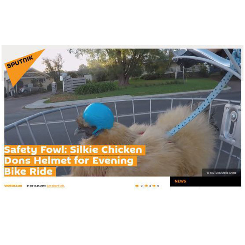 Chicken Helmet Bird Protect Cap Small Hard Birds Quail Pigeon Hat Headgear Protective Gear Pet Supplies Hens Accessories