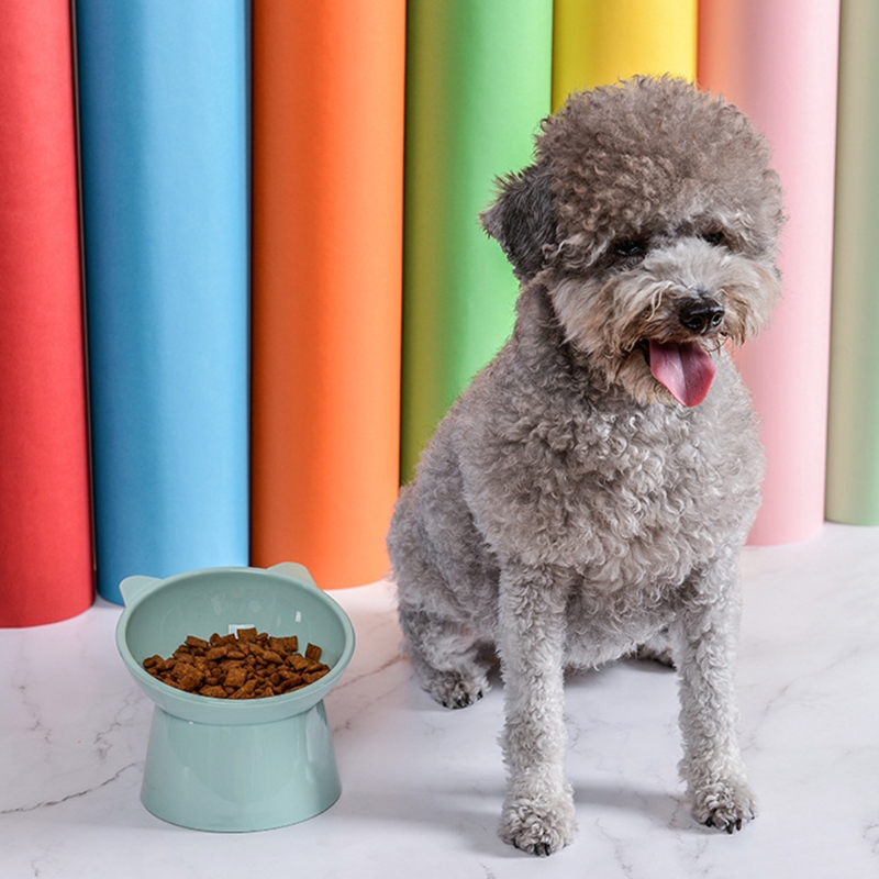 Dog Bowl Raised for Cat Food Water Bowls with Elevated Stand Pet Feeding Bowl No-Spill 45° Slanted Pet Dish Blue/Green/P