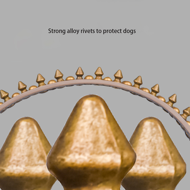 Spiked Studded Leather Dog Collar & Leash Matching Set for Medium & Large Dog Pitbull Husky Mastiff Terrier Bullet Rivet Leather