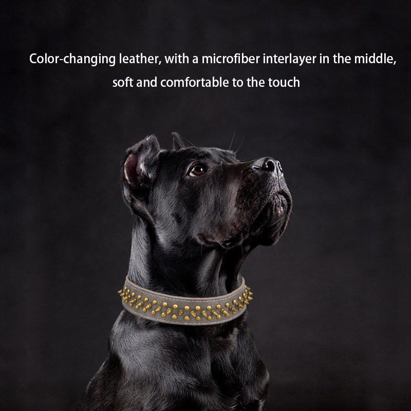 Spiked Studded Leather Dog Collar & Leash Matching Set for Medium & Large Dog Pitbull Husky Mastiff Terrier Bullet Rivet Leather