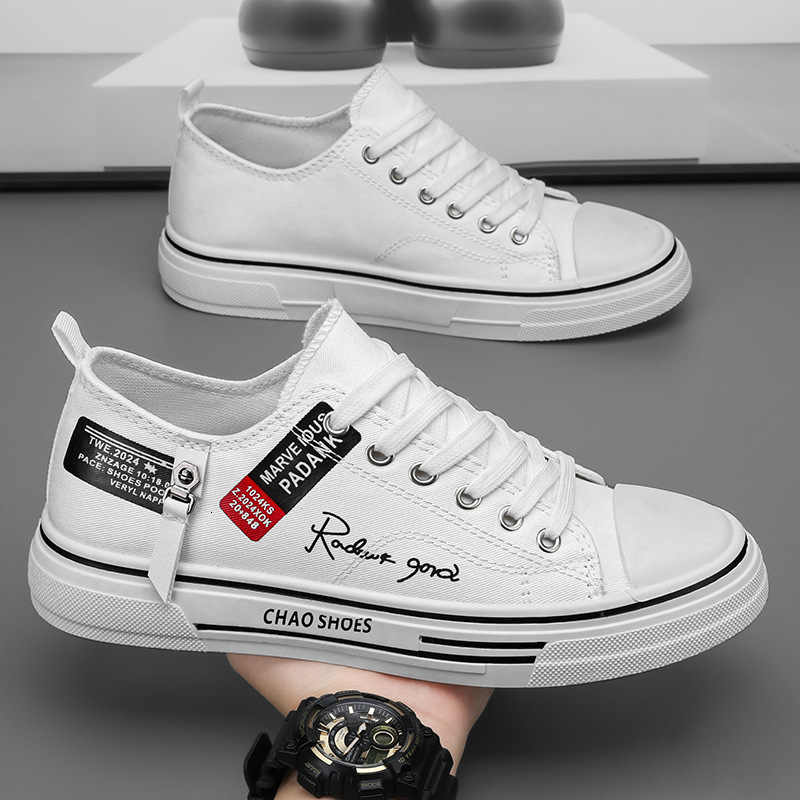 2025 Men's Summer Breathable Multifunctional Canvas Shoes College Students Basic Fabric Sports White Low Top Shoes Youth Soft Soled Board Shoes