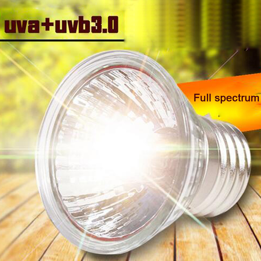 UVA+UVB 3.0 Reptile Lamp Set Clip-on Lamp Holder Bulb Thermometer Hygrometer Turtle Tortoises Lizard Sunlight Basking Heat Light