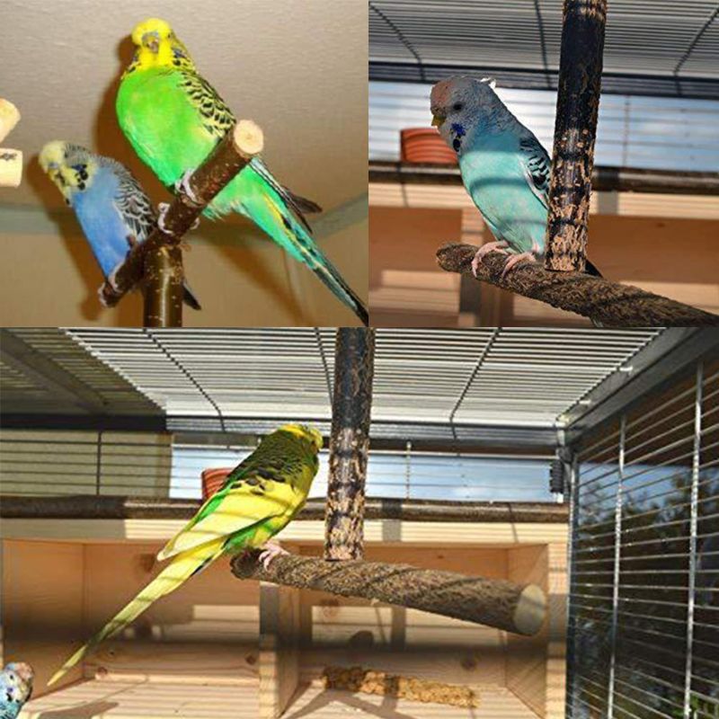 Parrot Natural Perch Bird Stand Grinding Claw Bar for Small Birds
