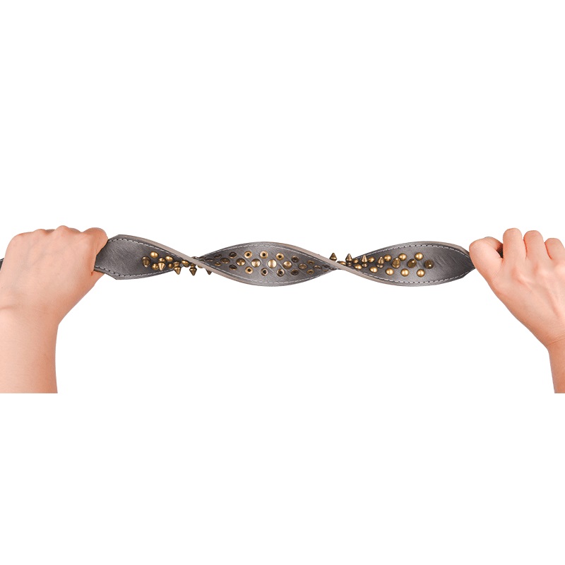 Spiked Studded Leather Dog Collar & Leash Matching Set for Medium & Large Dog Pitbull Husky Mastiff Terrier Bullet Rivet Leather