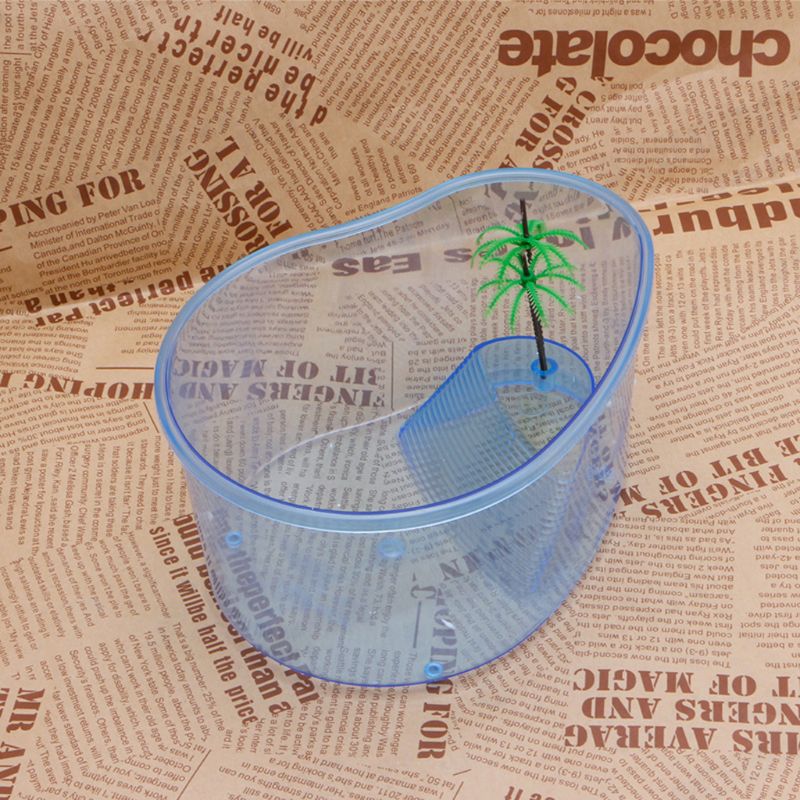 Plastics Terrarium Small Turtles Tanks Aquarium Basking Island with Ramp