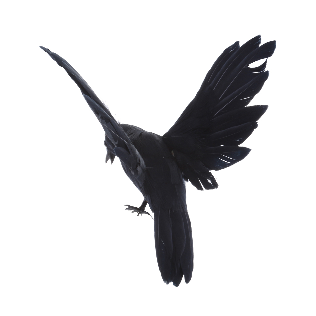 Artificial Garden Flying Crow Statue Decor for Decoy / Halloween Prop,12cm Decorative Bird Ornaments Home Garden Decor