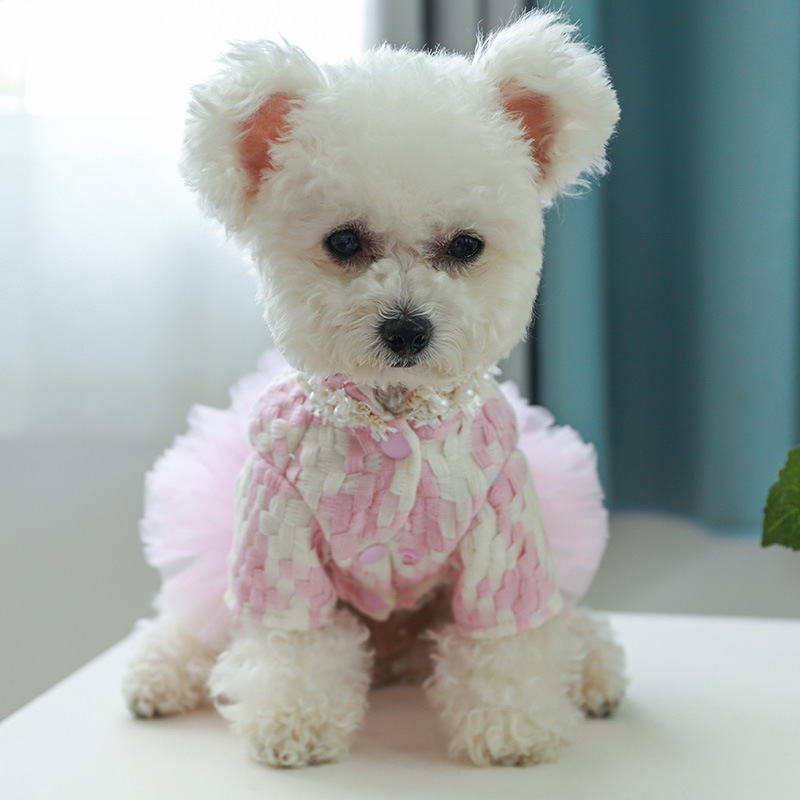 Bg Tutu Star Dog Dress Small Dogs, Winter Party Pet Costume, Cream Lady Female Clothing for French Bulldogs and Pugs dh3628137