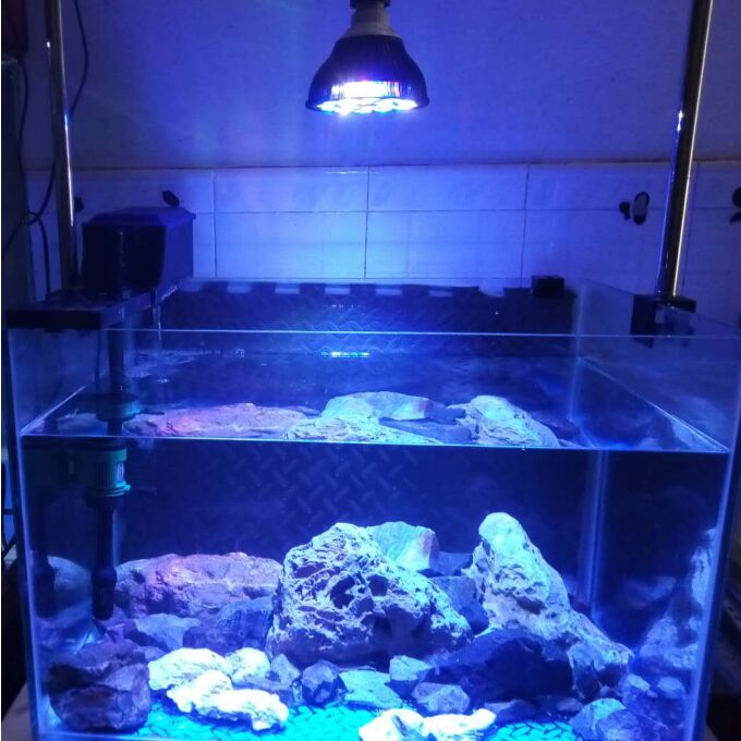 LED aquarium light led lighting coral marine lamp fish tank lamp plant grown bulb for reef fish algae sps lps