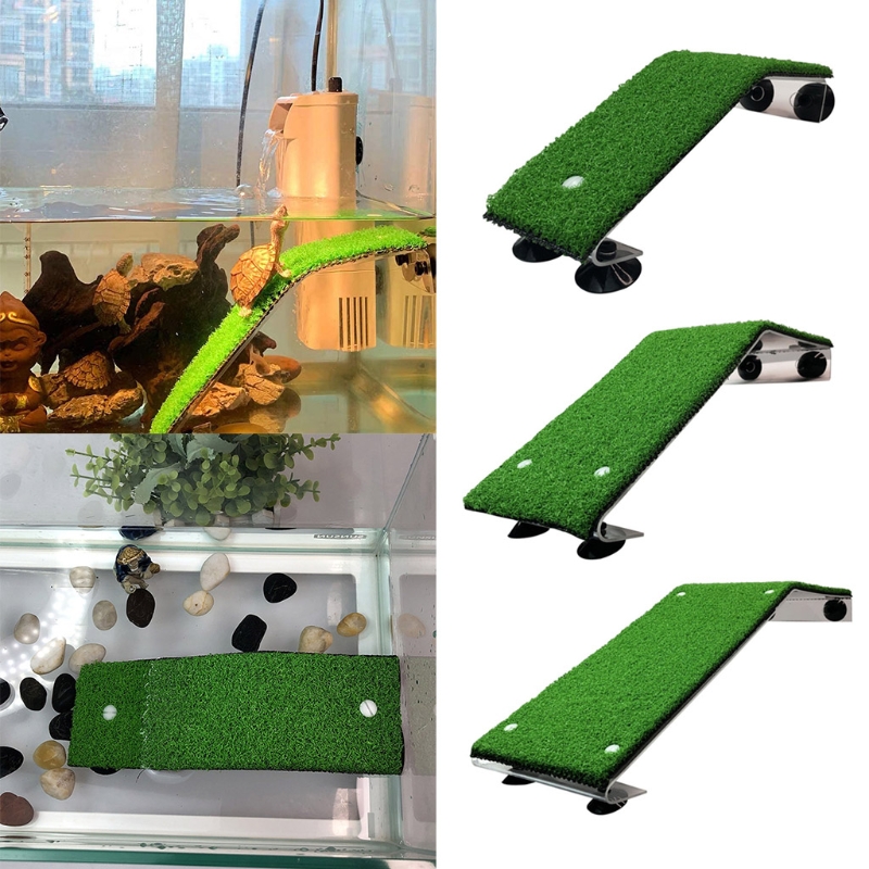for Turtle Large Climbing Platform Water for Turtle Map for Turtle Calcium Suppl