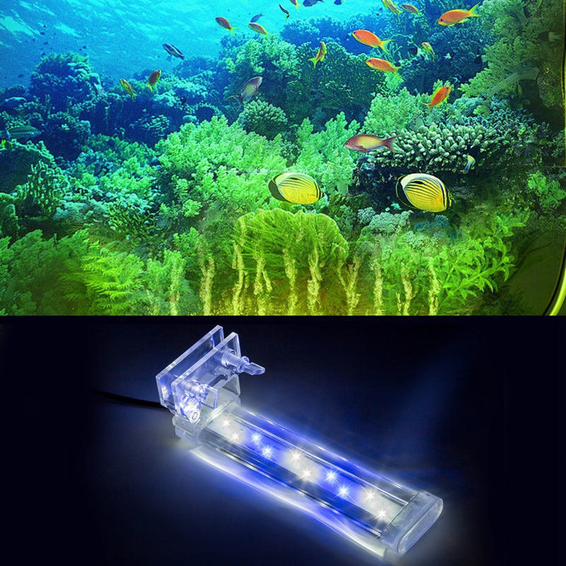 LED Aquarium Clamp Light Clip on Fish for Tank Lamp White & Blue Lighting Perfect for Aquatic Plants Fish Growth