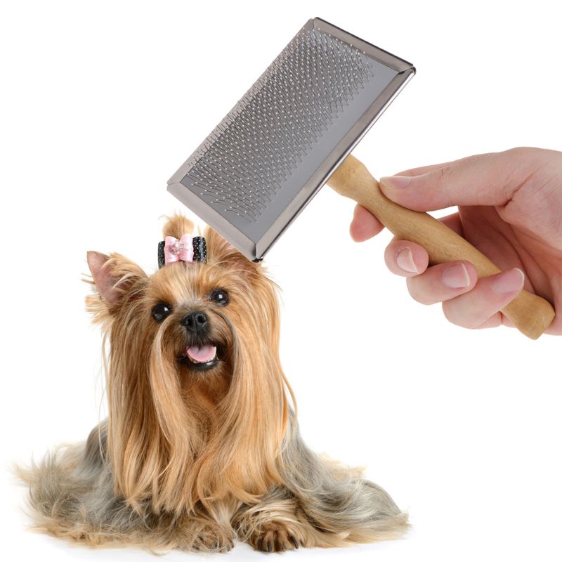Dog Slicker Brush Pet Cleaning Brush for Pet Small Large Dog Pet Hair