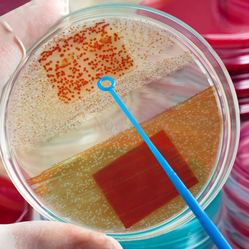 10Pcs 35mm 60mm 90mm 100mm 120mm Clear Petri Dishes with Lids Disposable Plastic Sterile Petri Dish Chemical Laboratory Supplies