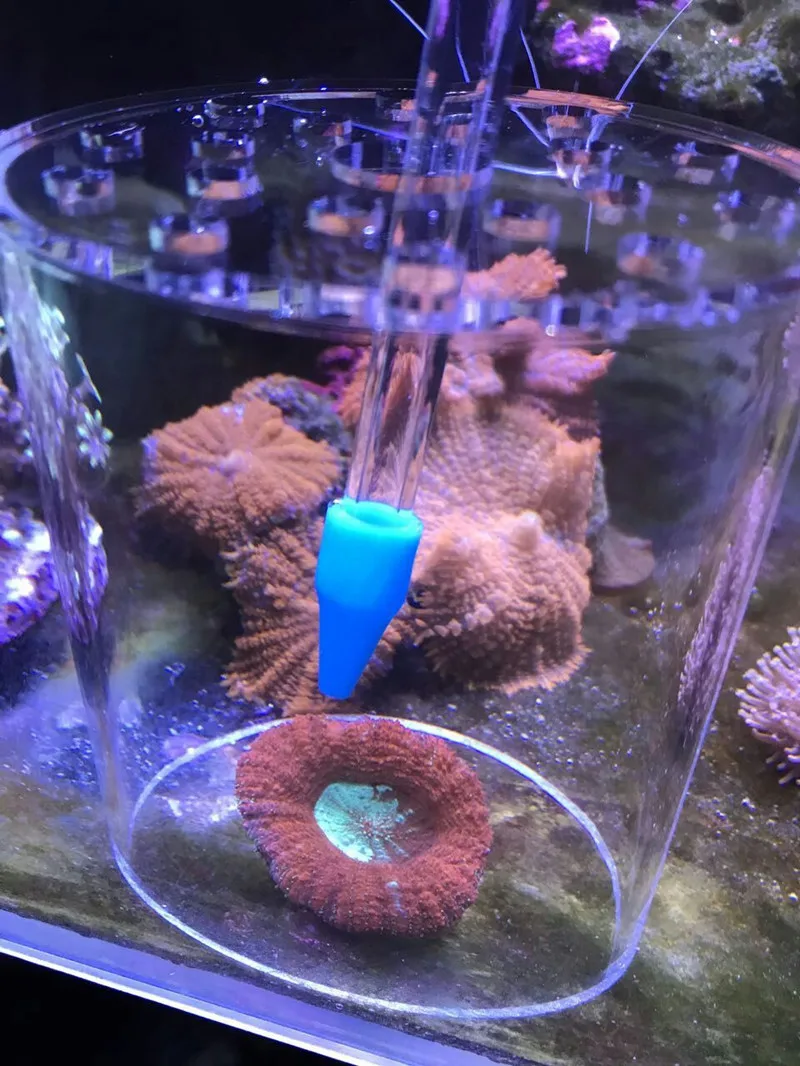Fish Tanksssss Tube Liquid Add Reef Tank Fresh Water Aquarium Upgrade Ultra Powerful Coral Feeding saltwater aquarium feeder