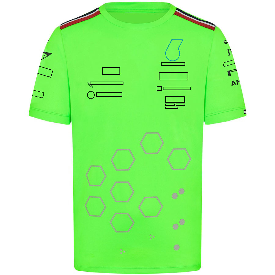 2024 F1 Racing Formula 1 Team Driver T-shirt Polo Shirts Teamwear Crew Neck Short-sleeved T-shirts Jersey Men Women Tee free shipping