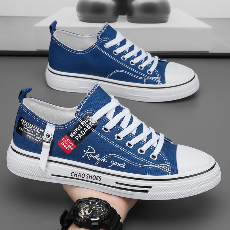 2025 Men's Summer Breathable Multifunctional Canvas Shoes College Students Basic Fabric Sports White Low Top Shoes Youth Soft Soled Board Shoes