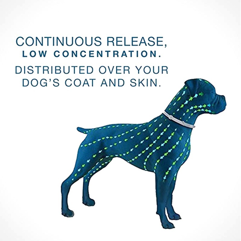 Flea and Tick Collar for Cats Puppies with Comfort Technology,Soft Flexible Flea Tick Prevention Protection Antiparasitic Collar