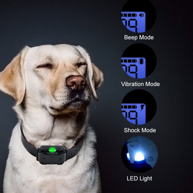 [New Edition]Dog Training Collar for Large Medium Small Dogs Rechargeable E Collar with Beep,Dog Shock Collar-IPX7 Waterproof