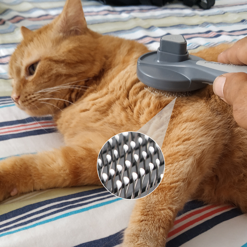Hair Removal Comb Grooming Brush Cleaning Beauty Products Pet Comb 3 Colors Self Cleaning For Dog Cat Cleaning Supplies