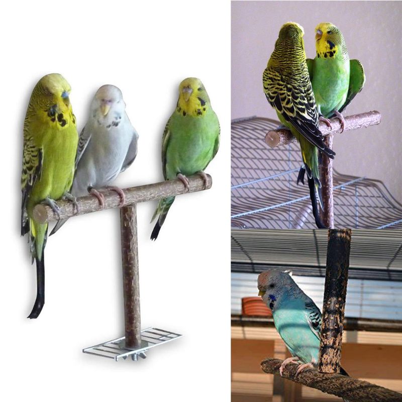 Parrot Natural Perch Bird Stand Grinding Claw Bar for Small Birds