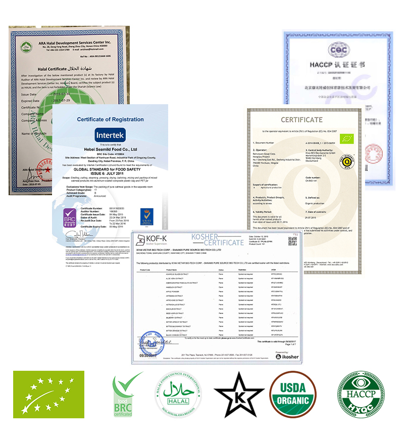 Spirulina Powder 100% Best selling organic spirulina powder
