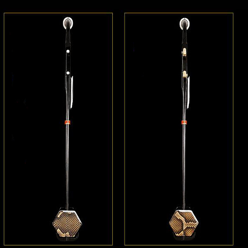 Chinese Erhu Erheen Two strings violin fiddle Stringed Musical Instrument Solid wood Bow with case Erhu accessories Erheen