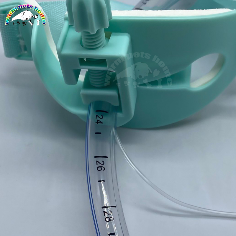 10pcs Endotracheal Tube Holder Plastic Endotracheal Tube Fixer