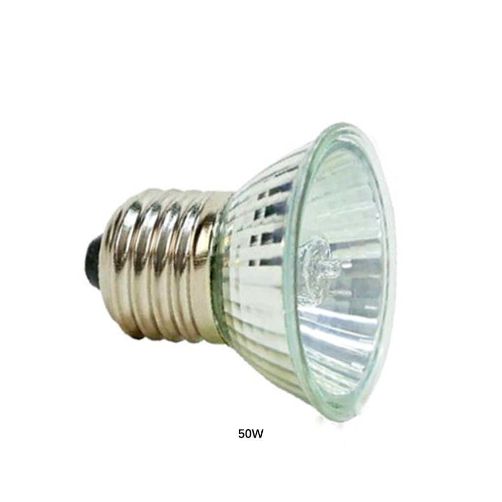Reptiles Animal Heating Lamp Growth Full Spectrum Sunlamp Temperature Control Universal Warm Light Accessories