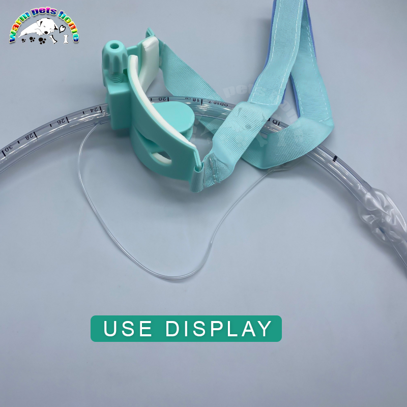 10pcs Endotracheal Tube Holder Plastic Endotracheal Tube Fixer