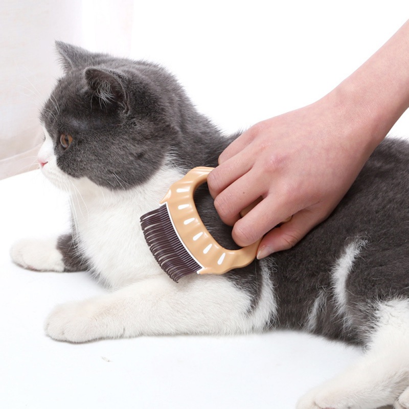 Pet Hair Remover Brush Plastic for Small Medium Dogs Cats 10*8*1cm Comfortable Pet Cat Supplies Animal Combs
