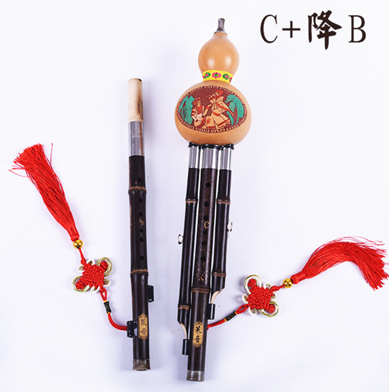 Two Tone Hulusi Flute, Purple Bamboo Double Pipe C & B Key Gourd Flauta Folk Instrument, Professional Calabash F & G Key