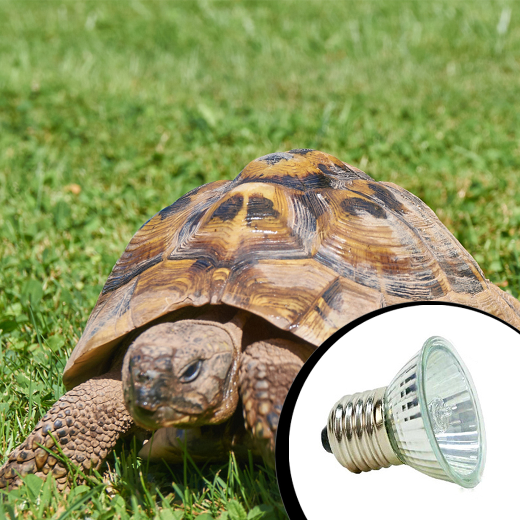 Reptiles Animal Heating Lamp Growth Full Spectrum Sunlamp Temperature Control Universal Warm Light Accessories