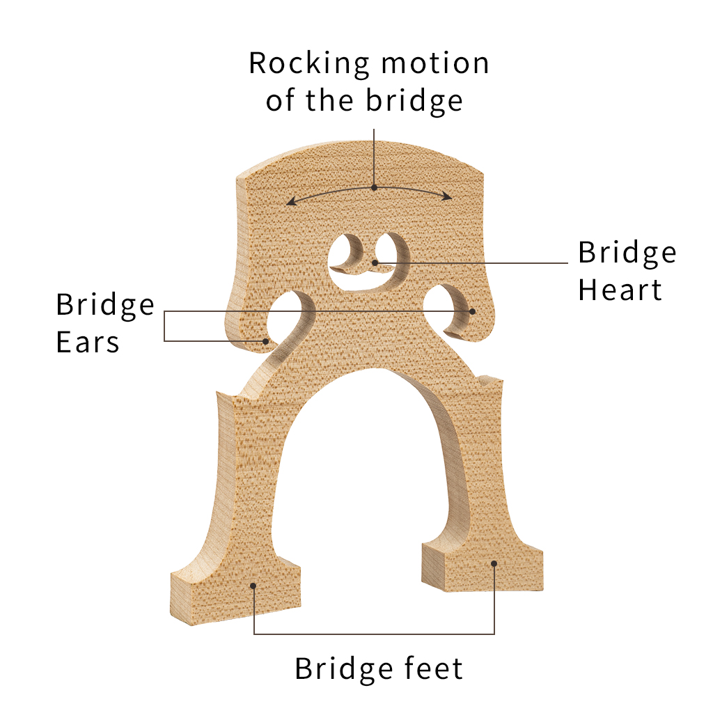 Standard Maple Cello Bridge Maple Bridge For Practice Use 2025 new 4/4 3/4 1/2 1/4 1/8 Cello Bridge