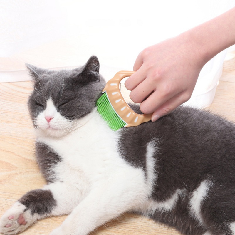 Pet Hair Remover Brush Plastic for Small Medium Dogs Cats 10*8*1cm Comfortable Pet Cat Supplies Animal Combs
