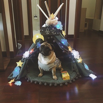 Teepee Bed Portable Breathable Available For Medium Small Dog Cat Little Dove Cute Washable Houses Tent Pet Supplies