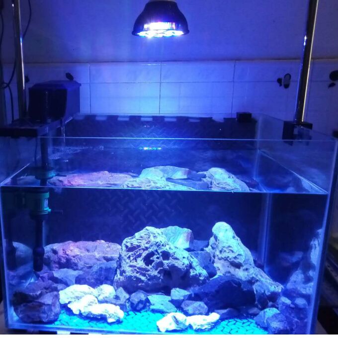 LED aquarium light led lighting coral marine lamp fish tank lamp plant grown bulb for reef fish algae sps lps