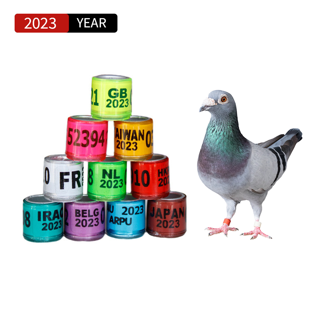 50Pcs/set 2023 Years National Pigeons Foot Ring 8x11mm Pigeons Foot Ring Parrots Leg Rings Birds Training Tool with Nnumbers