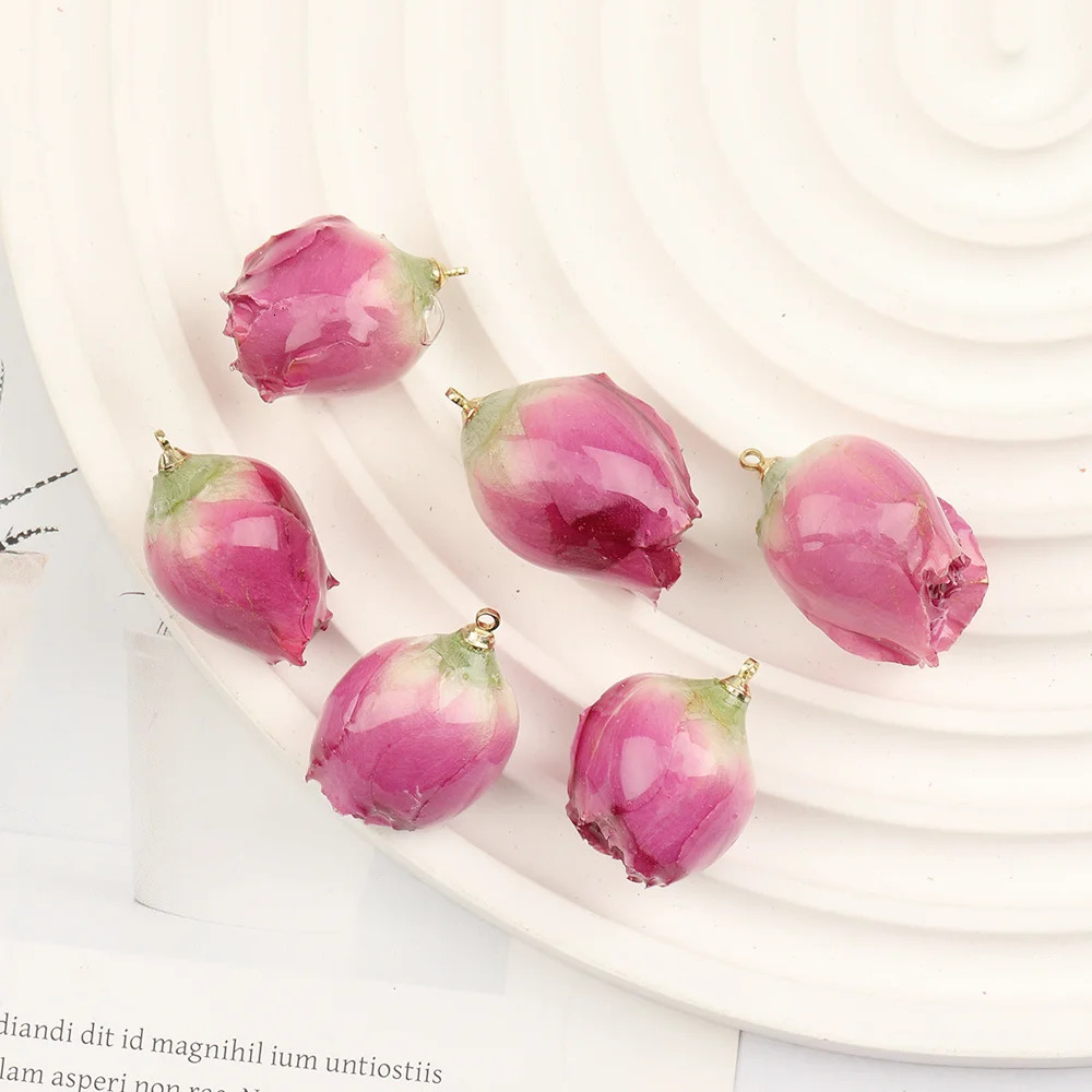 Cordial 20Pcs DIY Earring Making/Natural Flower Charm/Handmade/Necklace/Jewelry Accessories Resin Pendant #102691 241108