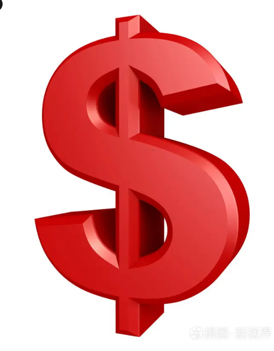 vip link full package free shipping bag watch link